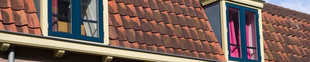 Dakrenovatie Eerbeek